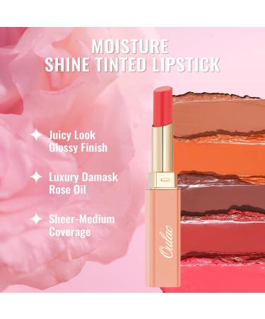 Oulac 2-in-1 Lipstick & Lip Balm - Juicy Shiny Lip Care for Smooth Hydrated Lips | Vegan Plummy Terracotta - Buy Online on GoSupps.com