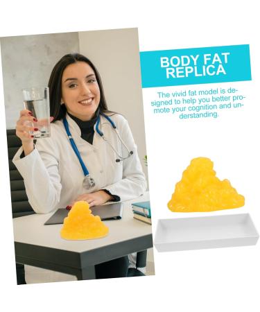 Baluue Fat 1lb Fat Model Manikin Mannequins Body Fat Anatomy Fat Replica with Display Base Fitness Tool Human Body - Buy Online on GoSupps.com