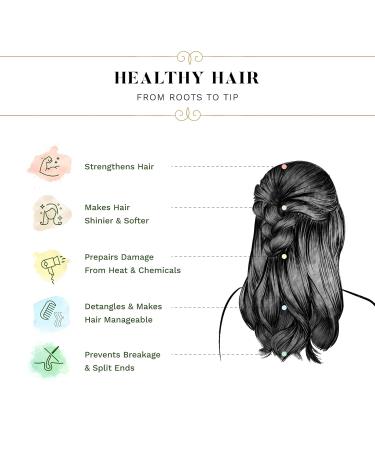 Sesa Onion Conditioner 300ml - Hair Growth & Fall Control with Reetha & Shikakai | No Sulphates or Parabens | Buy Online - Buy Online on GoSupps.com