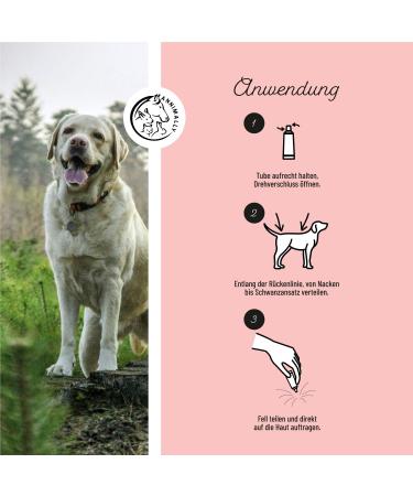 Annimally Flea and Tick Protection Spot On for Dogs - Effective Long-Lasting Tick Remedies for Small Dogs (4-10kg) - 3-Month Flea and Tick Defense - Buy Online on GoSupps.com