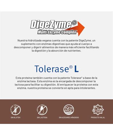 Beverly ZERO DELICATESSE | Hydrolyzed Whey Protein 80% | 1kg | Chocolate Cookies | Free Shaker for 1 Month - Buy Online on GoSupps.com
