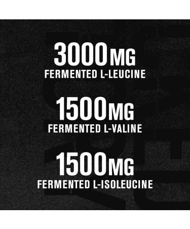 Jacked Factory Nitrosurge Shred Thermogenic Pre-Workout in Watermelon & BCAA in Fruit Punch for Body Recomposition Muscle Building and Recovery - Buy Online on GoSupps.com