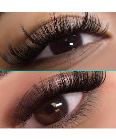 VAVALASH Cashmere Easy Fan Lashes | 0.03 0.05 0.07 C/CC/D/DD Volume | Matte Black Self Fanning Eyelash Extensions | 8MM-20MM | Professional Supplies for Lash Artists - Buy Online on GoSupps.com