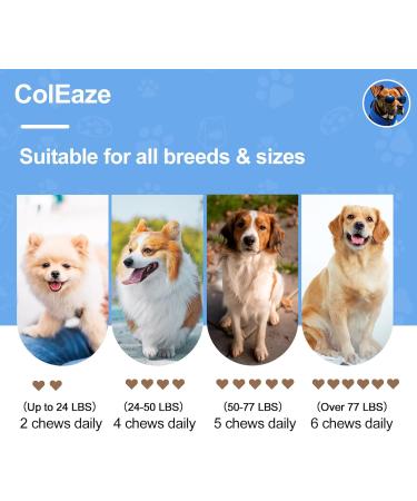 ColEaze Glucosamine for Dogs 200 Count Joint Supplement for Dogs with Glucosamine Chondroitin MSM Turmeric Hip & Joint Health Lamb Flavor - Buy Online on GoSupps.com