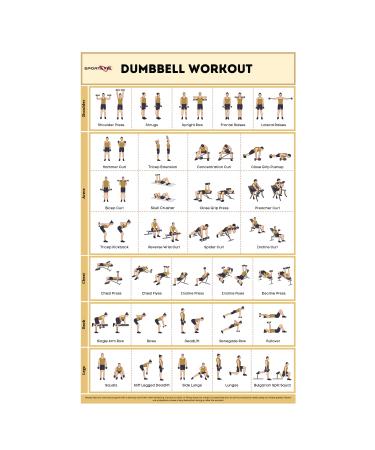 SPORTAXIS- No-Equipment Laminated Dumbbell Workout Poster with Colored Illustrations- Home Workout Poster for Men and Women - Advanced Home Training Wall Poster