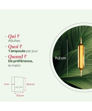 Super Diet: ORGANIC ST. JOHN'S WORT 20X15ml - Buy Online on GoSupps.com
