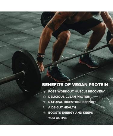 Herbal'Valley Vegan Plant Protein Powder | Pea Isolate and Brown Rice Protein (Chocolate Flavor) 1KG 28 Servings - Buy Online on GoSupps.com