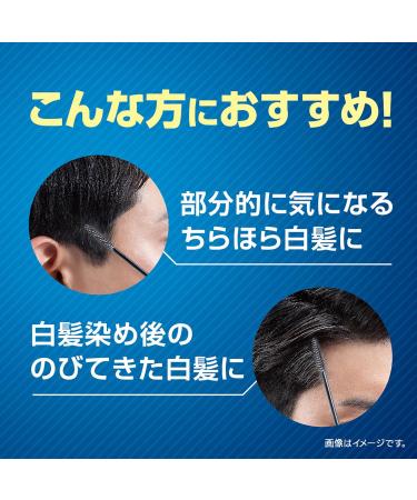 Dariya Salon de Pro for MEN Color On Retouch (Natural Black) 15ml Touch-Up Root Grey Hair Temporary Instant Colour Dye Mascara Japan Import Made in Japan - Buy Online on GoSupps.com