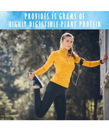 Garden of Life Organic Plant Protein - Grain Free Smooth Vanilla 9.4 oz - Buy Online on GoSupps.com