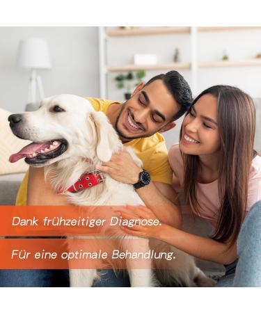 Alievepet 7 Tests Giardien Schnelltest for Dogs & Cats | Reliable Intestinal Parasite & Diarrhea Test - Buy Online on GoSupps.com