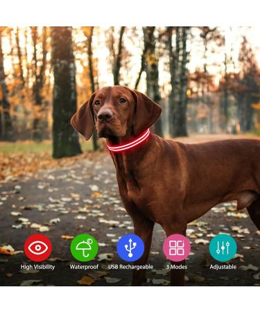 Buy Waterproof Luminous Dog Collar - Adjustable LED Flashing Light for Small & Medium Dogs | Enhanced Night Visibility (Red 28-40cm) - Buy Online on GoSupps.com