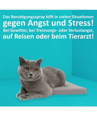 Green Hero Relaxation Spray for Cats - 500ml | Soothing Valerian Lavender & Catnip for Calm & Well-Being - Buy Online on GoSupps.com