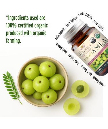 PureAyurbliss 100% Organic Amla Tablets Ayurvedic for Digestive Health Gut Balance and Immune Support Vegan Non-GMO Amla Capsules for Daily Vitality Skin Wellness & Natural Nutrition - 90 Count - Buy Online on GoSupps.com