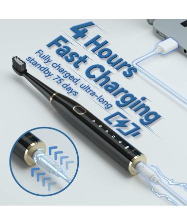 7am2m Sonic Electric Toothbrush for Adults and Kids | Rechargeable with 8 Brush Heads | 5 Modes & Smart Timer | Fast Charge for 75 Days - Black - Buy Online on GoSupps.com