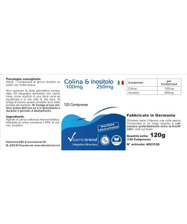 Choline & Inositol - with 100mg of choline and 250mg of inositol - 120 tablets - highly dosed - vegan - bioavailable supplement - Buy Online on GoSupps.com