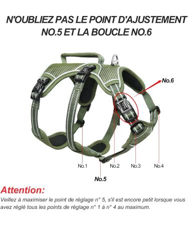 Heele Reflective Dog Dishes & Harness | Breakout Buckle Robust Handle Panic Crockery - Perfect Fit in Green - Buy Online on GoSupps.com