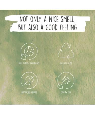 We Love The Planet Diffuser Light Lemongrass 50 ml - Eco-Friendly Aromatherapy for a Refreshing Home Atmosphere - Buy Online on GoSupps.com