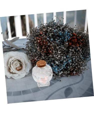 Zerodeko 4pcs Glass Heart Shaped Bottle Terrarium Wedding Decorations Decorative Wishing Bottle Glass Container with Lid Glass Jars Wishing Jar Origami Craft Bottle Glass Bottle Cork As Shownx4pcs 8.50X6.00X4.00CMx4pcs - Buy Online on GoSupps.com