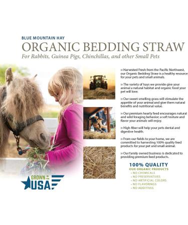 Organic Blue Mountain Hay Bedding Straw for Small Pets & Chickens - 3 lb Fresh Farm Delivery - Buy Online on GoSupps.com