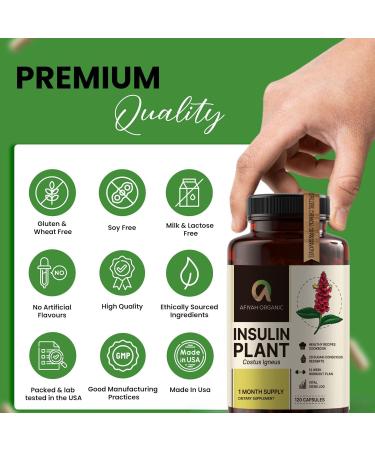 Premium Quality Costus Igneus (Insulin Plant) Capsules - Easy to Swallow 120 Veggie Capsules (1 Month Supply) - Made in The USA - Including Complete Health Support Program 120 Count (Pack of 1) - Buy Online on GoSupps.com