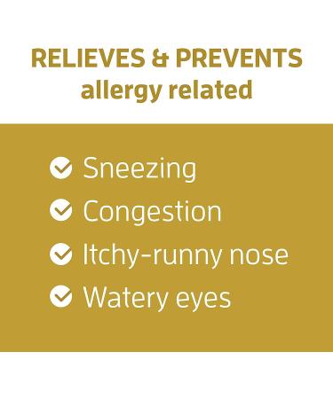 AllerBlock Powder Nasal Spray - 1 Bottle (Up to 200 Sprays) - Buy Online on GoSupps.com