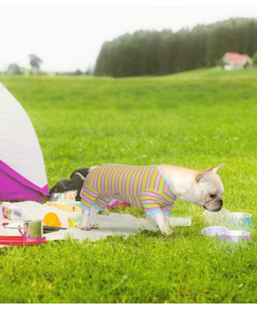 Tony Hoby Dog Suit for Men & Women | Striped Cotton Overall for XS Dogs - Cozy Sleepwear in Green & Blue - Buy Online on GoSupps.com