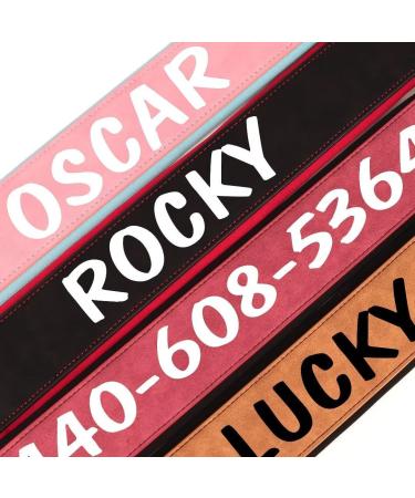 Durable PU Leather Padded Dog Collar for Medium & Large Breeds | Heavy Duty Metal Buckle Adjustable Fit (Neck 33-41cm) - Perfect for Pit Bulls | Black - Buy Online on GoSupps.com