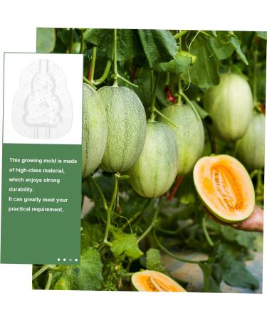 KONTONTY 3pcs Vegetable Small Mould Growth Forming Ginseng Small Fruit Plastic Gourd - Buy Online on GoSupps.com