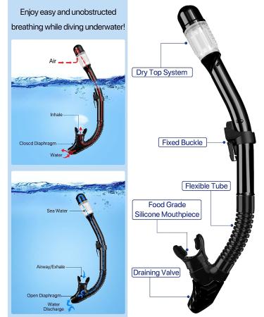 Ubekezele Snorkeling Gear 4 in 1 Set for Adults - Panoramic View Mask, Anti-Fog Snorkel, Dry Top Fins, Travel Bag - Black ML/XL - Buy Online on GoSupps.com
