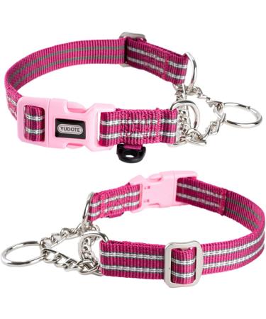 Petiry Half Chain Choke Collar | Reflective Nylon | Safety Buckle | Anti-pull | Large Dogs Neck 44-56cm | Hotpink Large - Buy Online on GoSupps.com