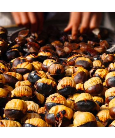 Buy Pergamo Set Olay Chestnuts - Roasted & Peeled Ready to Eat (40x125g) | Tender Chestnuts for International Shipping - Buy Online on GoSupps.com