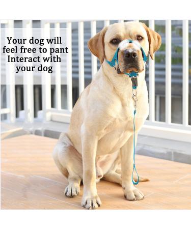 Barkless Dog Handler - No Pull Training Tool for Medium & Large Dogs | Soft Upholstery & Instructions | Light Blue - Buy Online on GoSupps.com