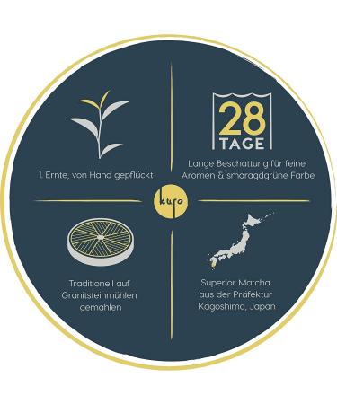 Organic Matcha Powder Haiiro | Premium Japanese Green Tea - 100g Pack - Buy Online on GoSupps.com