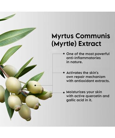 Phytoderm Face & Body Acne Spray with Myrtle Extract | 1% Salicylic Acid Cleanser | Fast Acne Relief for Prone Skin | 3.4 oz - Shop Now - Buy Online on GoSupps.com