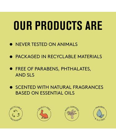 Barrel and Oak Bourbon Cedar 2-in-1 Face Moisturizer & Sunscreen SPF - Mineral Formula with Olive Leaf Extract & Aloe Vera - Non-Greasy, For All Skin Types - 2.25 oz - Buy Online on GoSupps.com