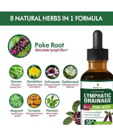 Selvaherb Lymph Cleanse Herbal Drops Natural Poke Root (Phytolacca Americana) Extract for Lymph System Support Body Detox Support & Immune Defense Support. 2oz - Buy Online on GoSupps.com