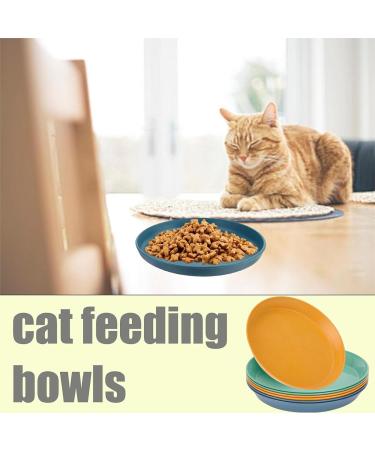 6 PCS Cat Bowls Cat Plate Cat Food Bowl Cat Food Dish Shallow Pet Bowls Kitten Food Bowl Cat Food Plate for Cats Fatigue Free Cat Feeding Bowls for Kittens and Small Animals Flat Cat Bowl - Buy Online on GoSupps.com