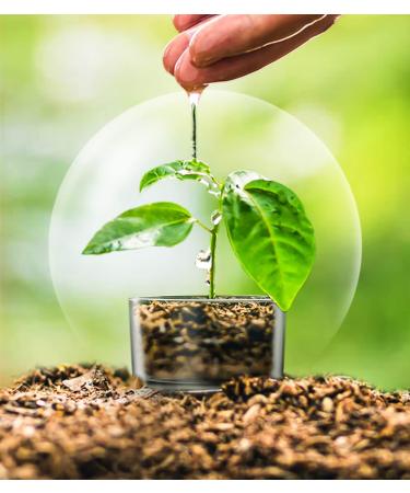 Scented Candles Gift Set for Anxiety - 3 Red Candles | Relaxation Gifts for Women | Warm Cinnamon Stick Scent - Buy Online on GoSupps.com