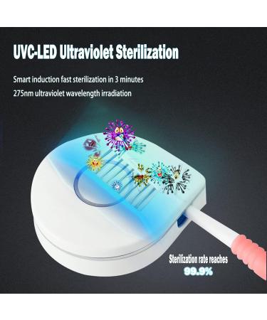 TAISHAN UV Sanitizer Toothbrush Case - Rechargeable & Portable Mini Holder | Kills 99.9% Germs, Fits All Toothbrushes | for Home & Travel - Buy Online on GoSupps.com