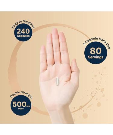 Ultra Strength Phosphatidylserine 500mg | 240 Capsules | Soy Free | Sunflower Derived | Cognitive Health & Brain Function Support - Non-GMO - Buy Online on GoSupps.com