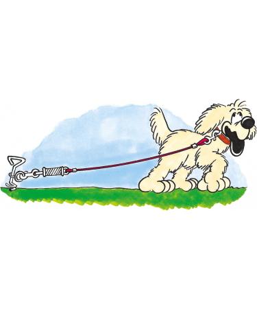 Schecker Bully Walking Leash - 5m with 40cm Mooring Stake | Durable & Reliable International Shipping - Buy Online on GoSupps.com