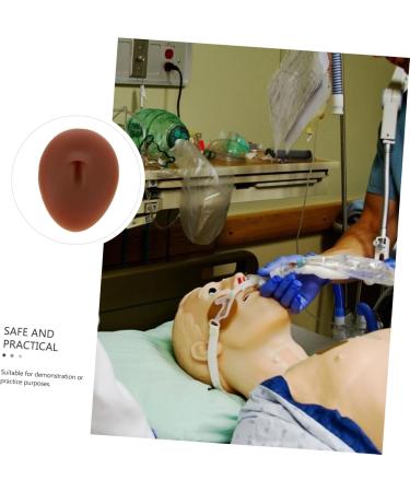 VINTORKY 1pc Silicone Human Nose Models Practice Peircing Body Navel Presentation Model Display Rack Medical - Buy Online on GoSupps.com