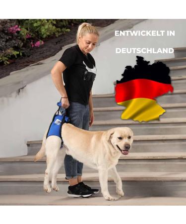 Nature PET Carriage Aid for Dogs - Stair Lift Strap for Older Sick or Post-Op Dogs - Dog Transport Harness (Black M) - 1 Pack - Buy Online on GoSupps.com