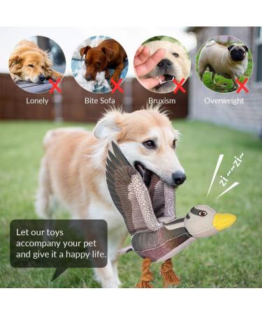 Shop Aquatic Human Squeaky Dog Toys - Crocodile Parrot Lizard & Wild Goose for All Dog Sizes - Buy Online on GoSupps.com