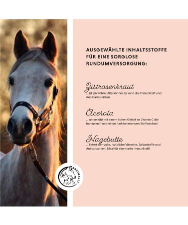 Annimally Multi Vital Powder for Horses - 550g Multivitamin with Vitamin B Complex Immune Support Vitamins A D3 E & Essential Nutrients - Buy Online on GoSupps.com