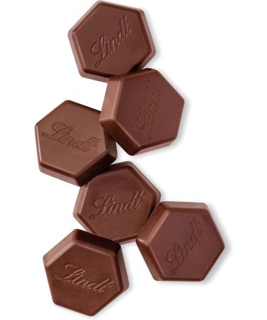 Lindt - Pastry Gun Bag - Dark Chocolate for Cooking 500 g - Buy Online on GoSupps.com