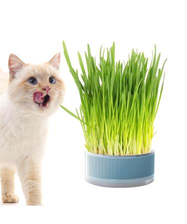 Anulely cat grass plant container for indoor cats-planting box without earth |Removable earth-free Sprouter tray grass box for cats dogs and other pets home decoration blue