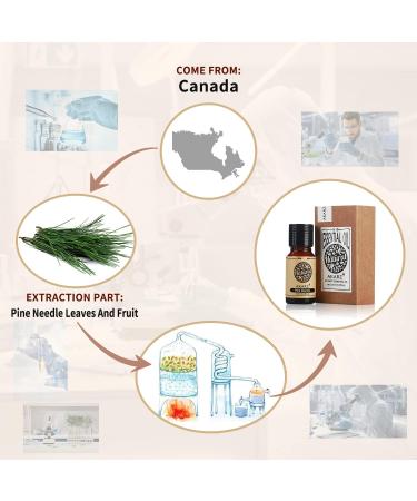 Pine Needle Oil | Akarz Natural Organic 10ml Therapeutic Essential Oil for Skin Hair Body Care DIY & Aromatherapy - Buy Online on GoSupps.com