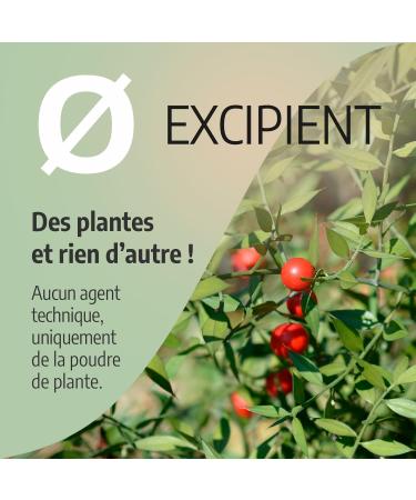 Fragon - Little Holly - 250 mg - 200 capsules - Buy Online on GoSupps.com