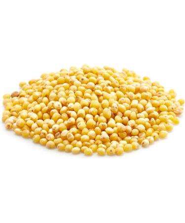 Yupik Organic Millet Seeds Hulled 1 kg Gluten-Free Non-GMO Kosher Vegan Raw Salt-Free Plant-Based Protein Source of Fiber & Iron Ideal for Recipes Side Dishes Salads & More 1 kg (Pack of 1) - Buy Online on GoSupps.com
